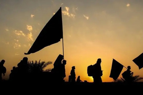 حوزه هنری با «سینما اربعین» در عمود 707 میزبان زائران حسینی میشود