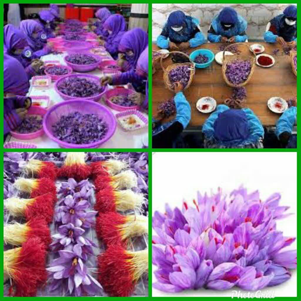 از کمک به اقتصاد خانوادهها تا پیشگیری از طلاق از کمک به اقتصاد خانوادهها تا پیشگیری از طلاق